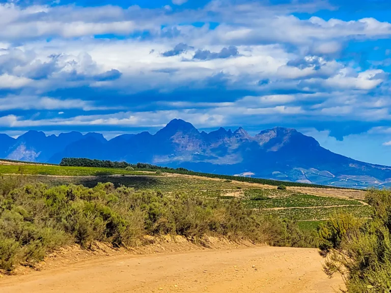 Jeep adventure through the vineyards