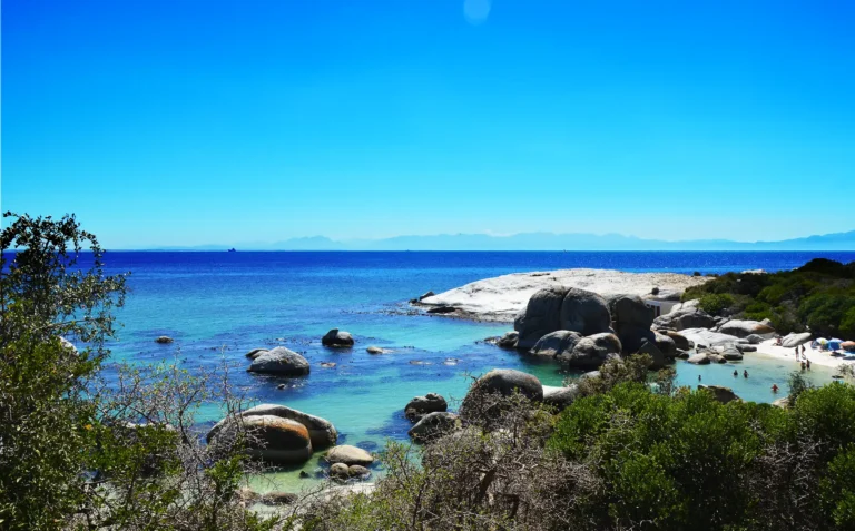 boulders beach in Cape Town