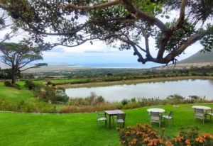 Cape Point Vineyards restaurant. overlooking the Noordhoek Beach